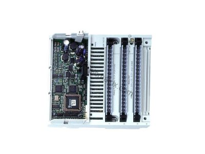 Schneider 170AAI03000 Modicon Momentum Analog Input Base – 8-Channel Differential - Industrial Automation Parts from BluePLC