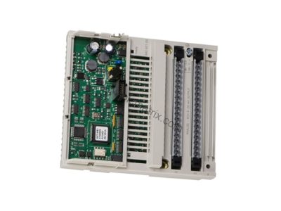 Schneider 170AAO12000 Modicon Momentum Analog Output Module - Industrial Automation Parts from BluePLC