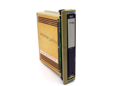 Schneider AS-B872-002 Analog Output Module for Modicon 984 Series - Industrial Automation Parts from BluePLC