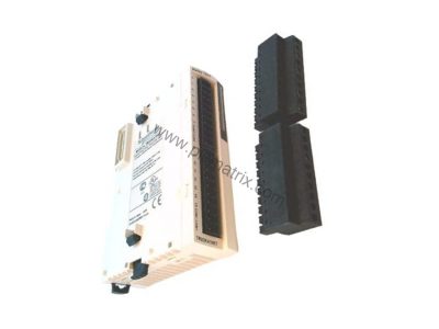 Schneider TM2DRA16RT Modicon M238 16-Relay Output Module - Industrial Automation Parts from BluePLC